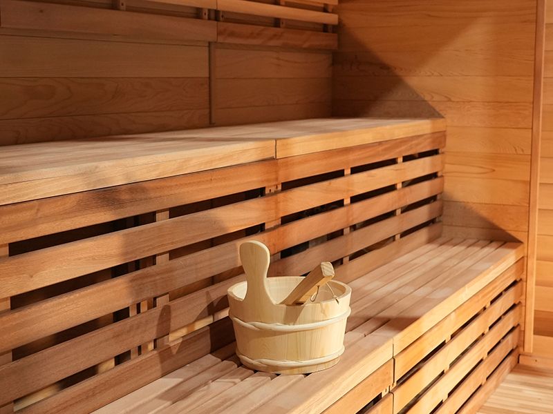 Modern Flat Roof Outdoor Sauna H-HS604